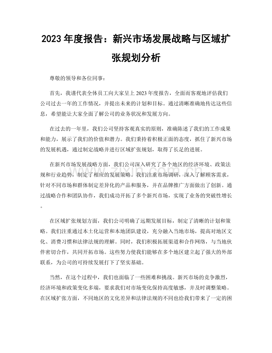 2023年度报告：新兴市场发展战略与区域扩张规划分析.docx_第1页