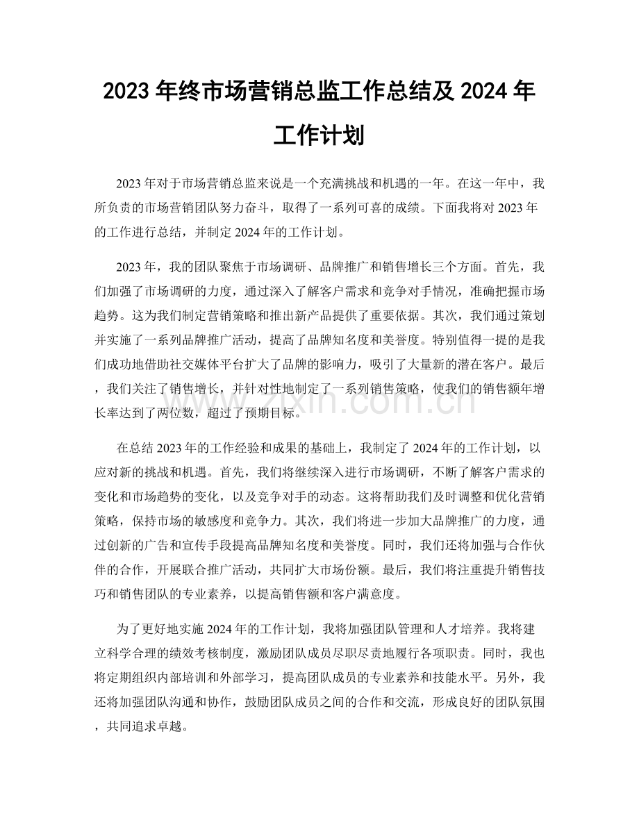 2023年终市场营销总监工作总结及2024年工作计划.docx_第1页
