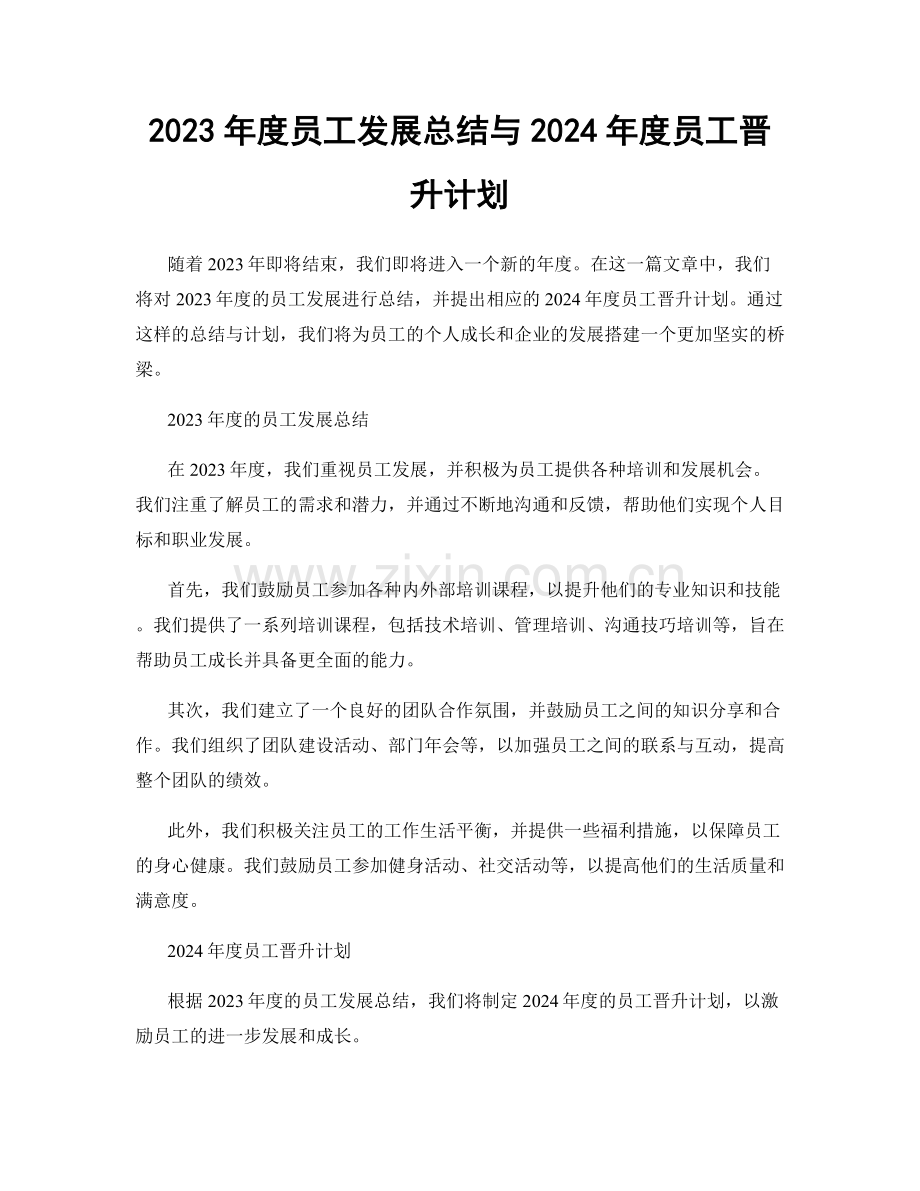 2023年度员工发展总结与2024年度员工晋升计划.docx_第1页