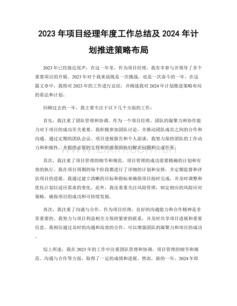 2023年项目经理年度工作总结及2024年计划推进策略布局.docx_第1页