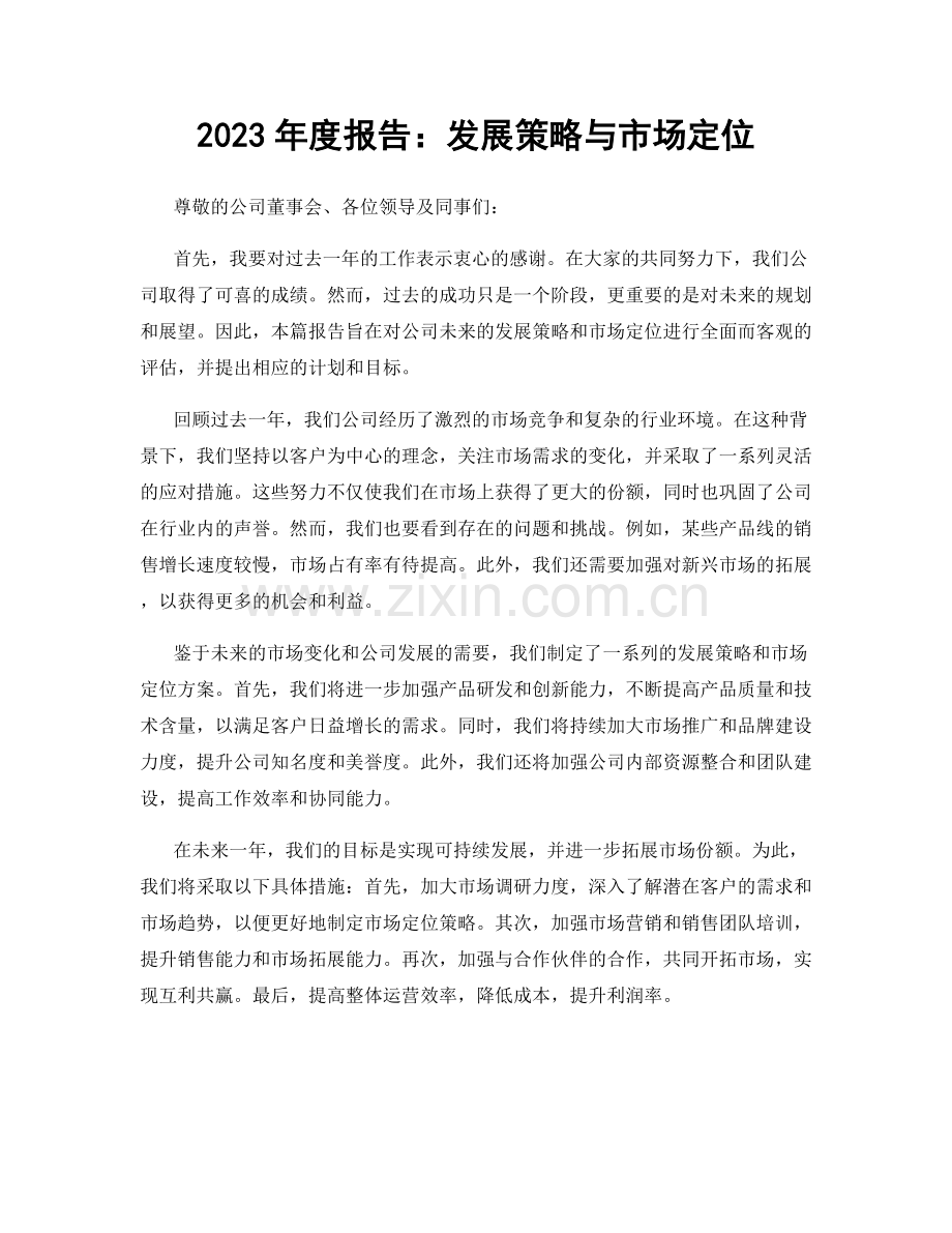 2023年度报告：发展策略与市场定位.docx_第1页