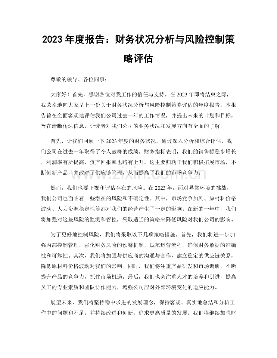 2023年度报告：财务状况分析与风险控制策略评估.docx_第1页