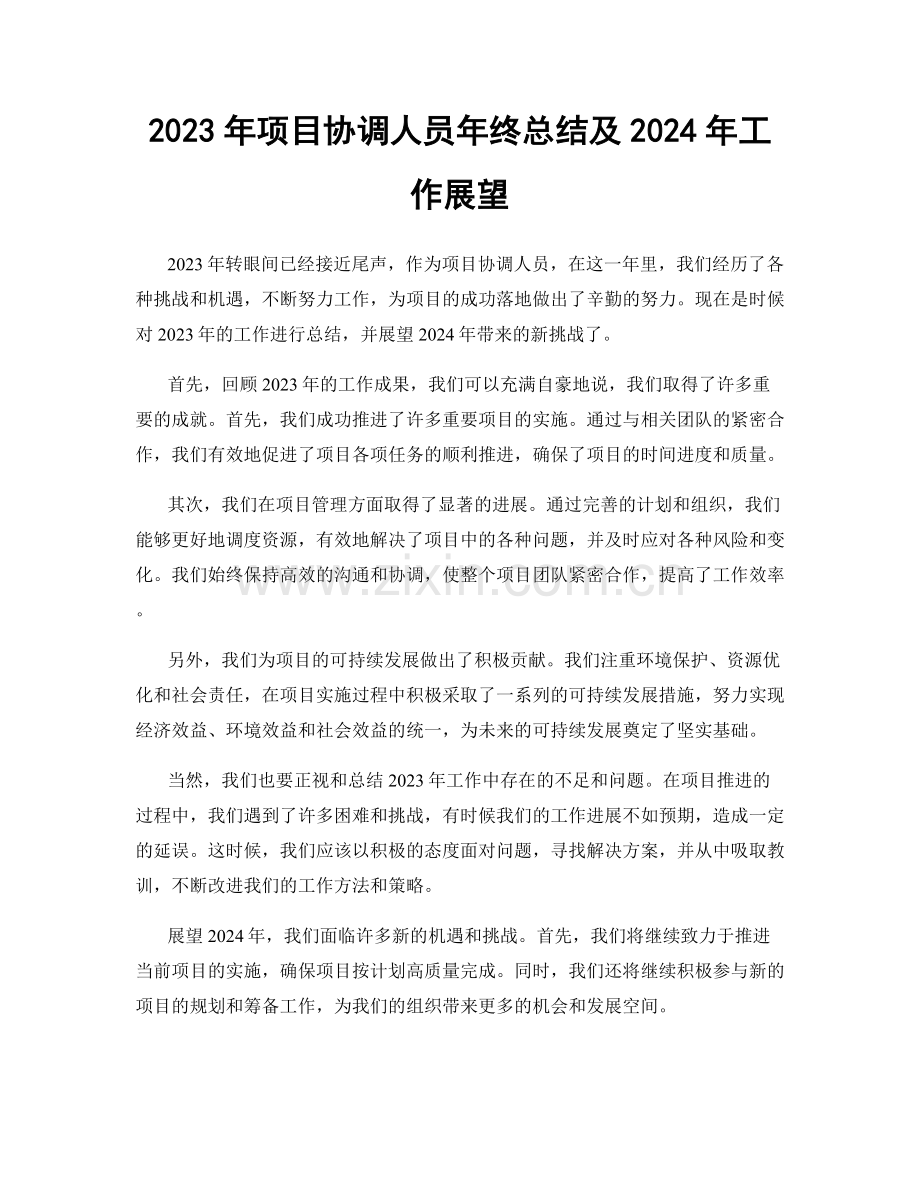 2023年项目协调人员年终总结及2024年工作展望.docx_第1页