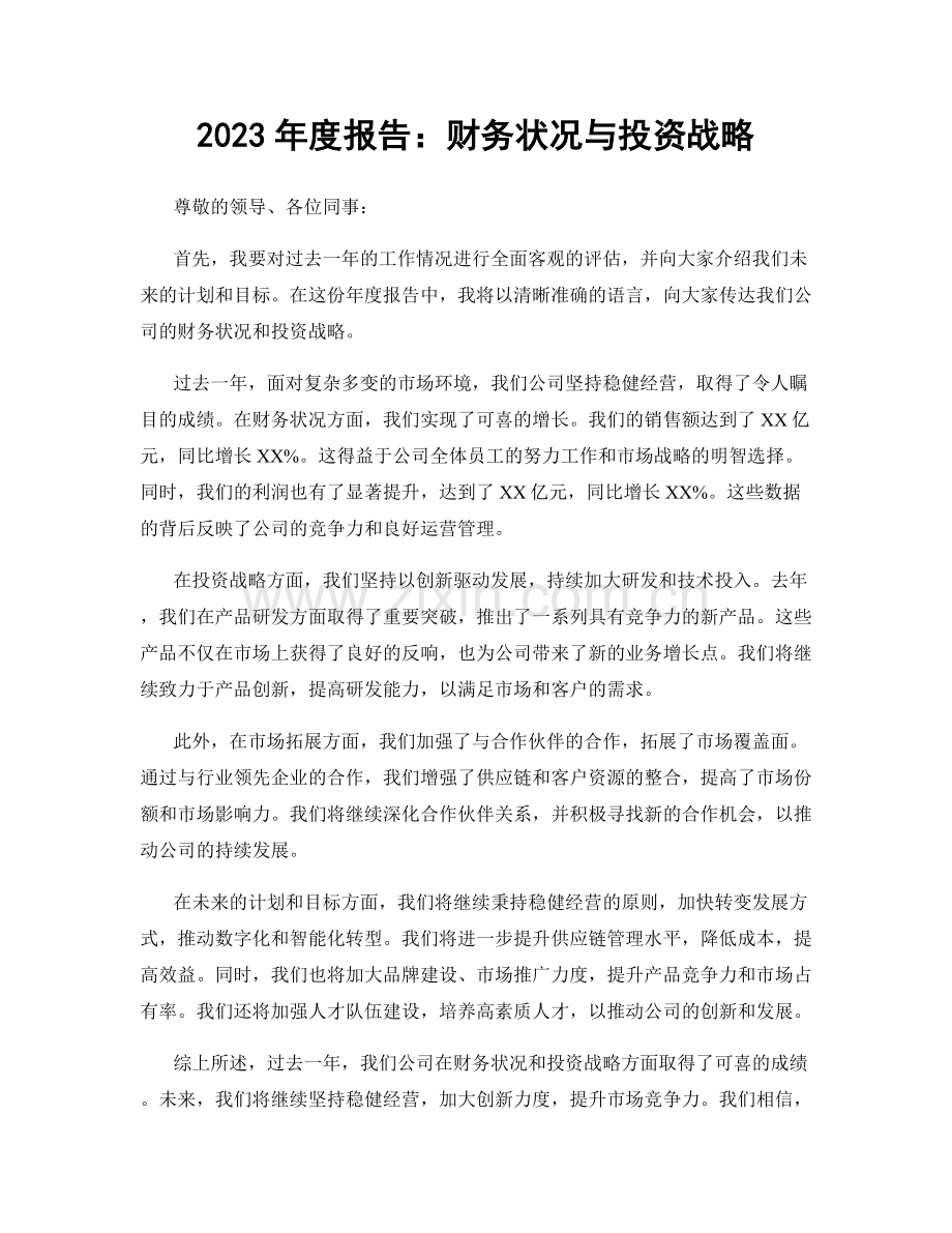 2023年度报告：财务状况与投资战略.docx_第1页