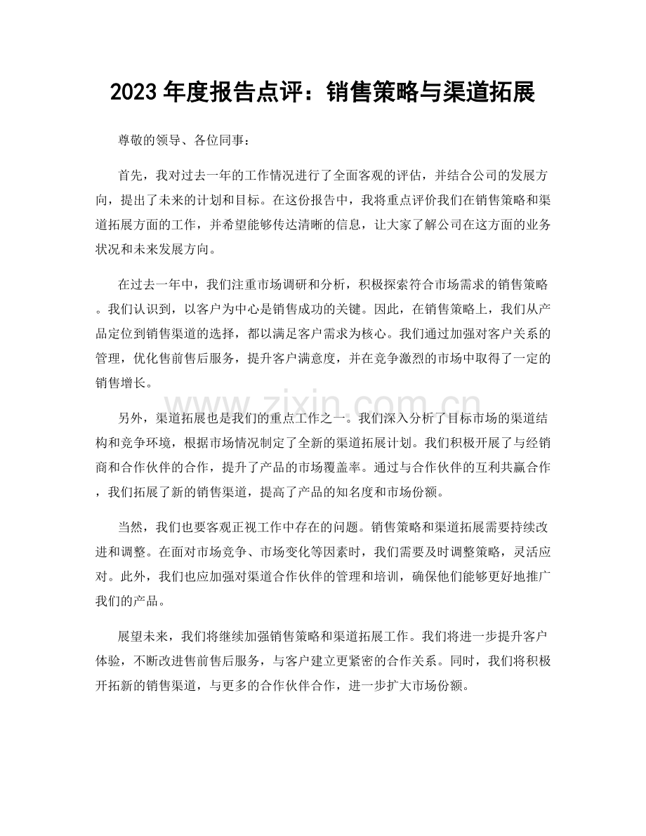 2023年度报告点评：销售策略与渠道拓展.docx_第1页