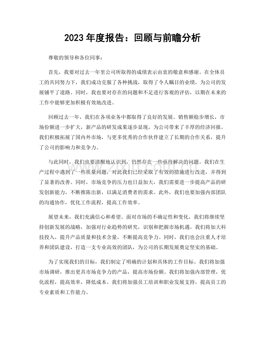 2023年度报告：回顾与前瞻分析.docx_第1页