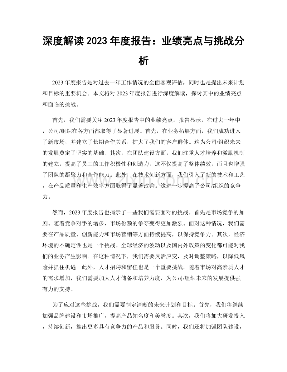 深度解读2023年度报告：业绩亮点与挑战分析.docx_第1页