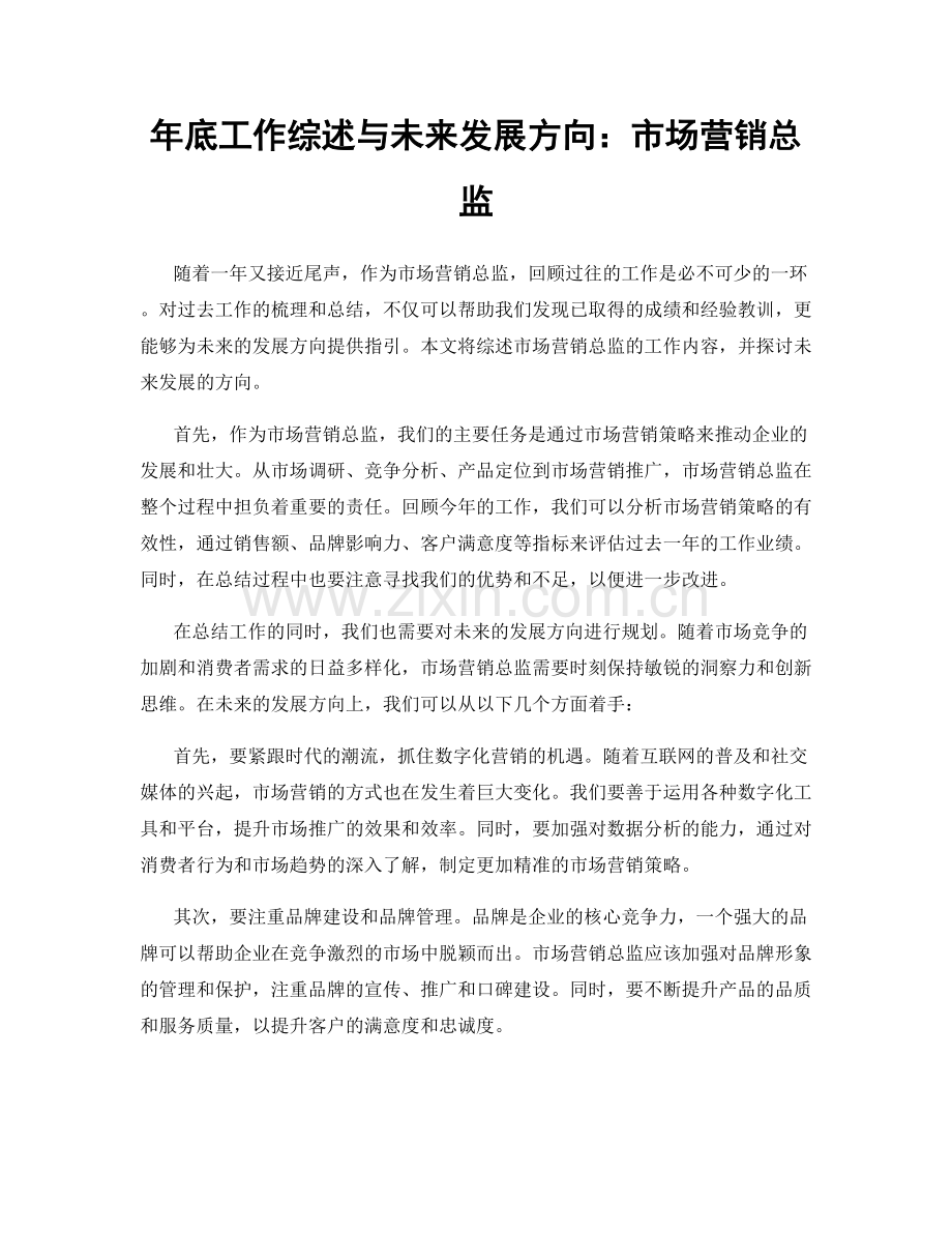年底工作综述与未来发展方向：市场营销总监.docx_第1页