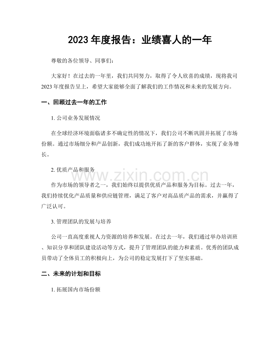 2023年度报告：业绩喜人的一年.docx_第1页