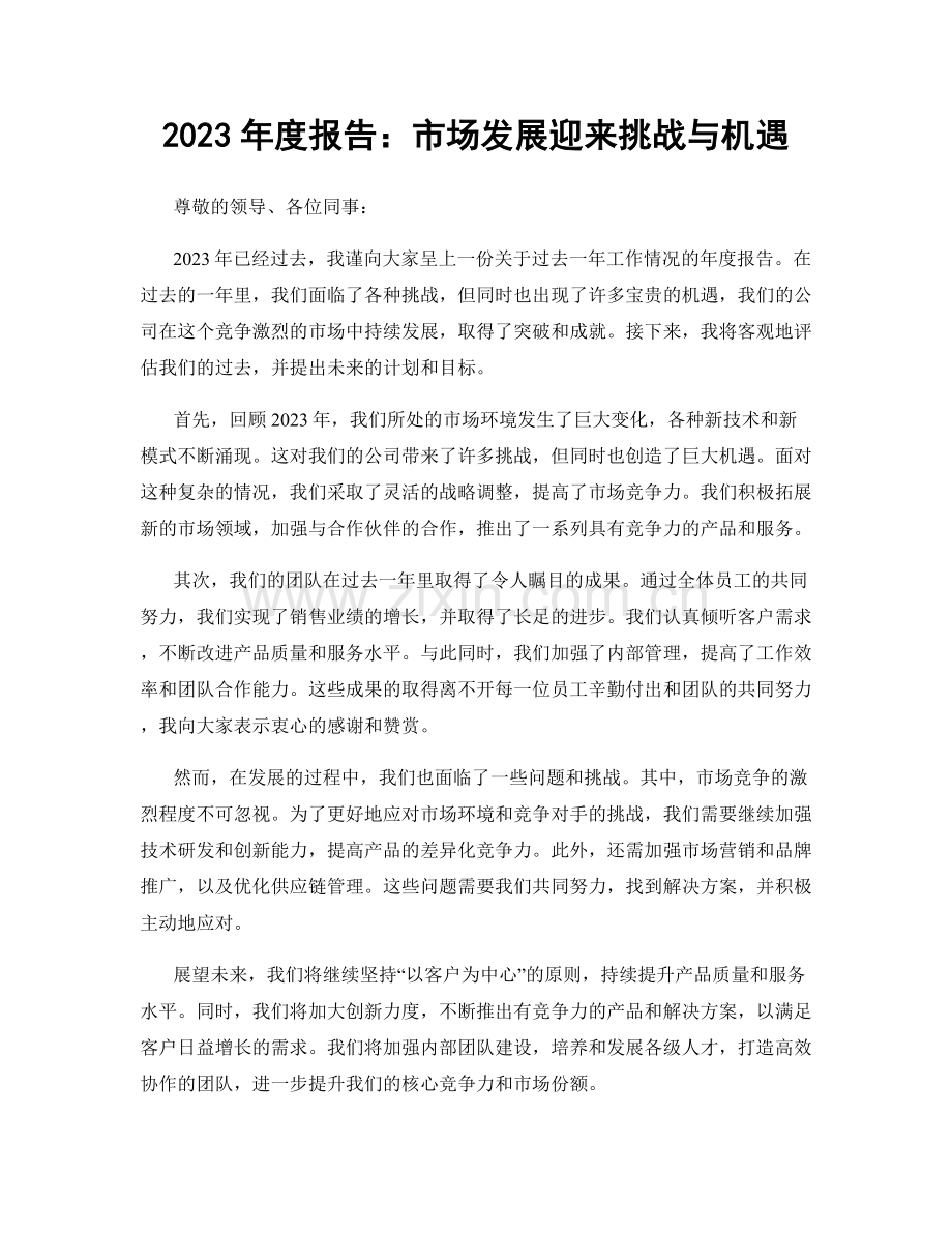 2023年度报告：市场发展迎来挑战与机遇.docx_第1页