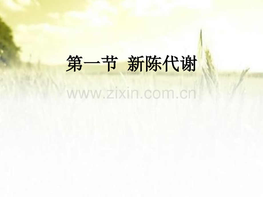 第五章生物氧化.pptx_第2页