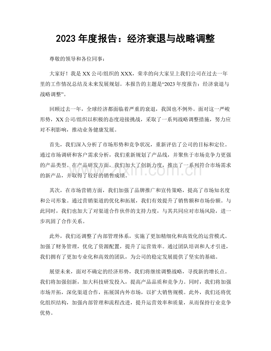 2023年度报告：经济衰退与战略调整.docx_第1页