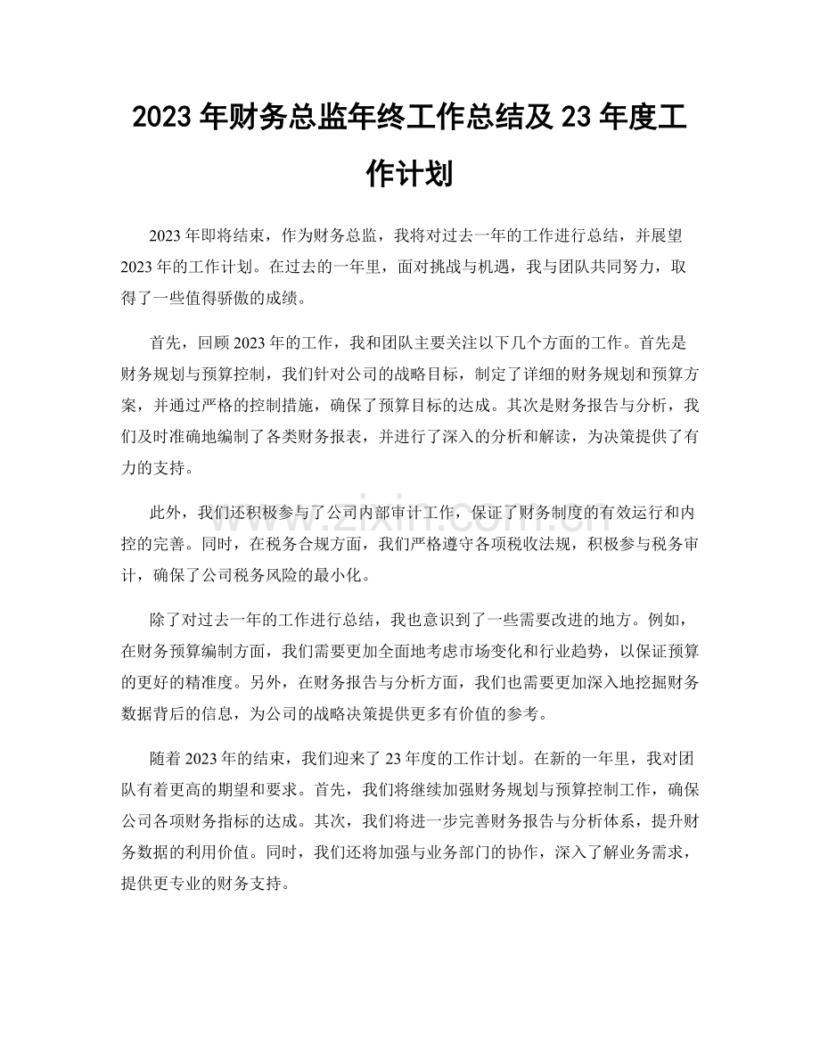 2023年财务总监年终工作总结及23年度工作计划.docx_第1页