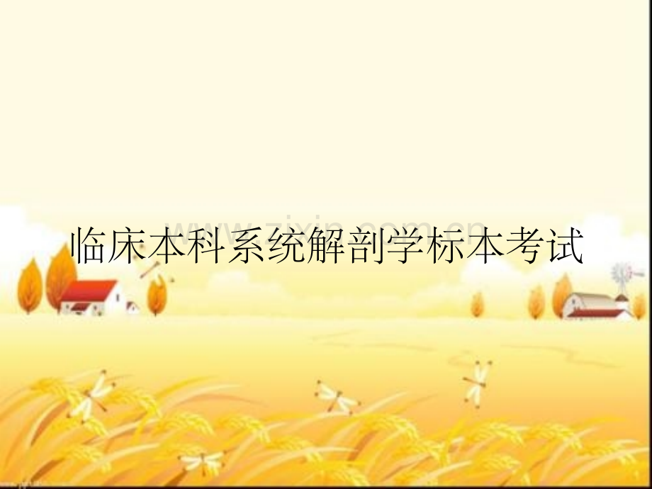 临床本科系统解剖学标本考试.pptx_第1页