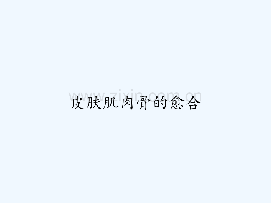 皮肤肌肉骨的愈合ppt.pptx_第1页