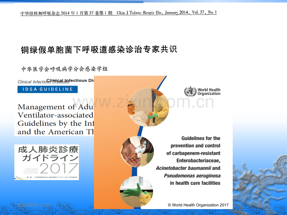 2017铜绿假单胞感染治疗策略.ppt_第2页