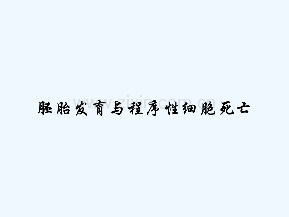 胚胎发育与程序性细胞死亡-PPT.pptx_第1页