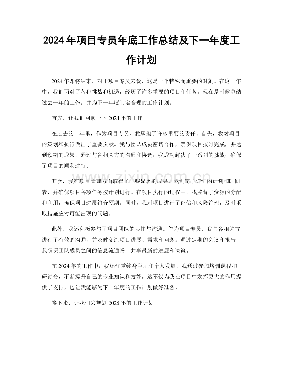 2024年项目专员年底工作总结及下一年度工作计划.docx_第1页