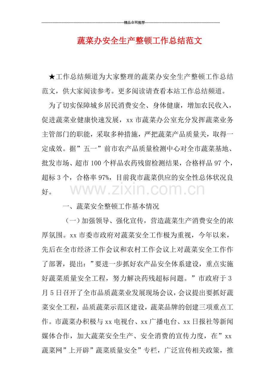 蔬菜办安全生产整顿工作总结范文.doc_第1页