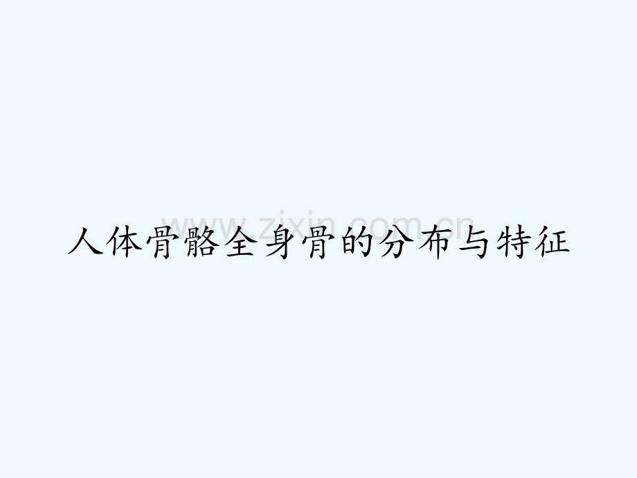 人体骨骼全身骨的分布与特征.pptx_第1页