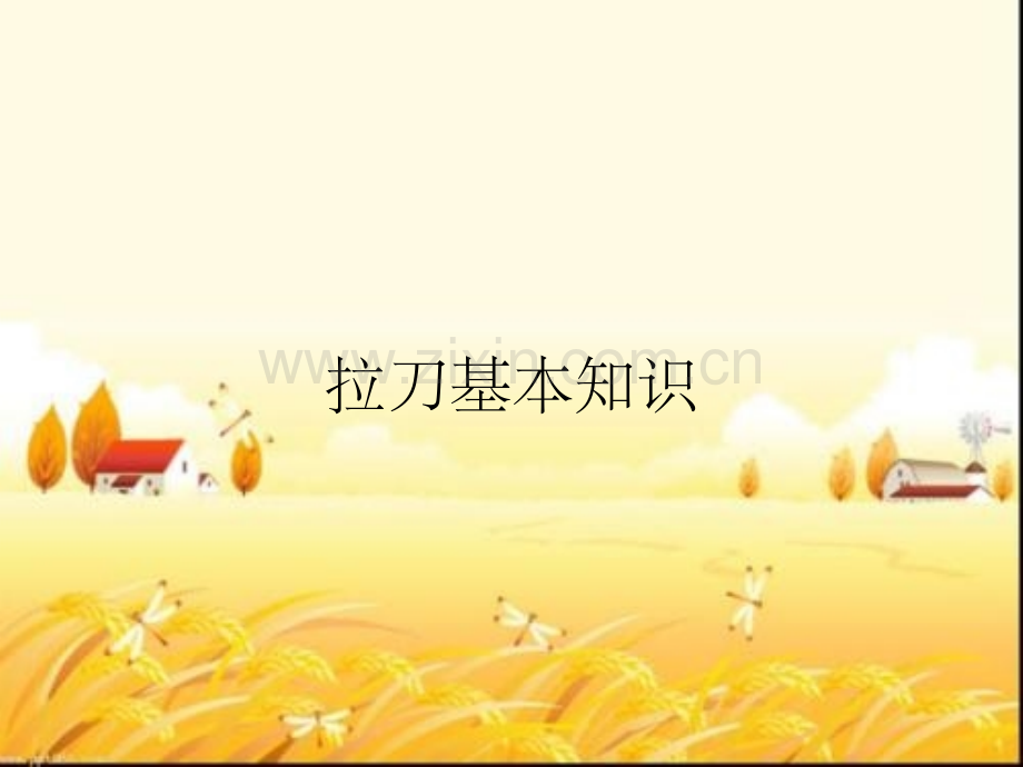 拉刀基本知识.pptx_第1页