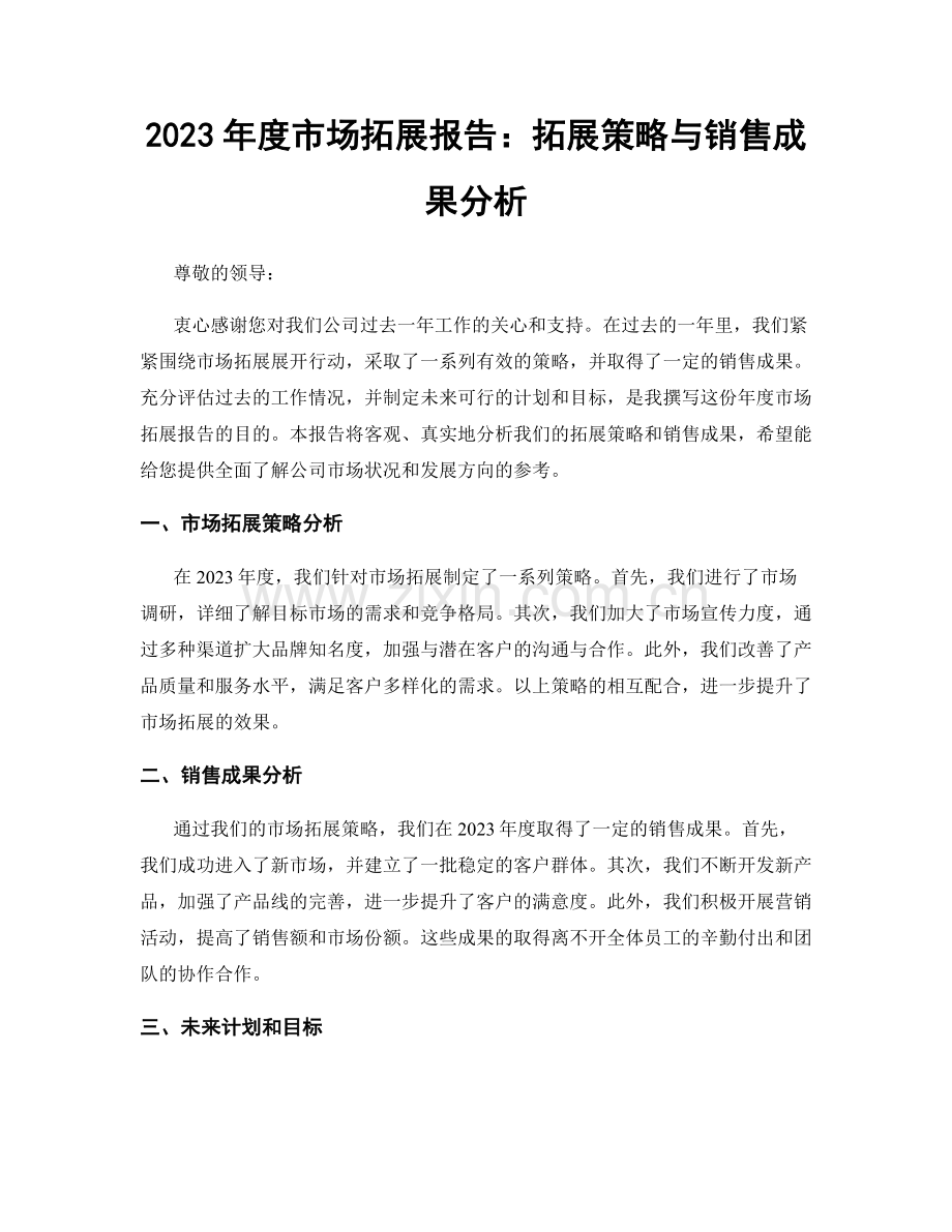 2023年度市场拓展报告：拓展策略与销售成果分析.docx_第1页