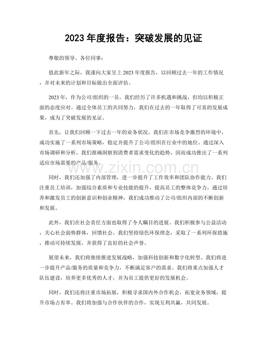 2023年度报告：突破发展的见证.docx_第1页