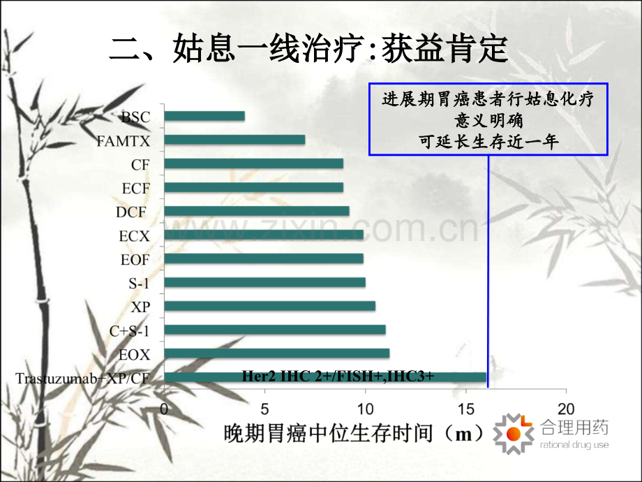 胃癌姑息治疗修改版.pptx_第2页