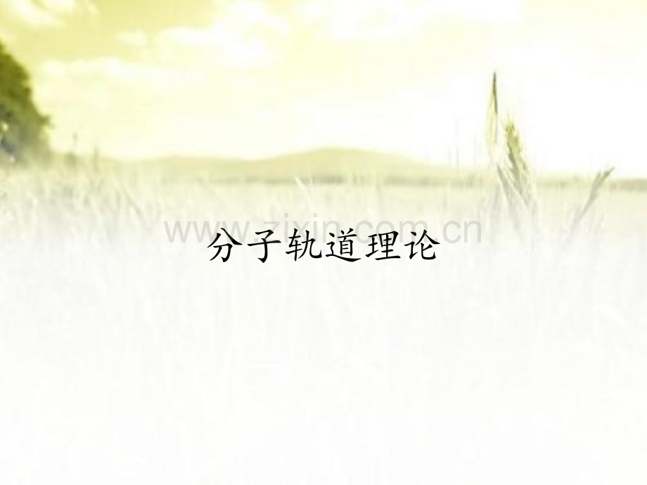 分子轨道理论.pptx_第1页