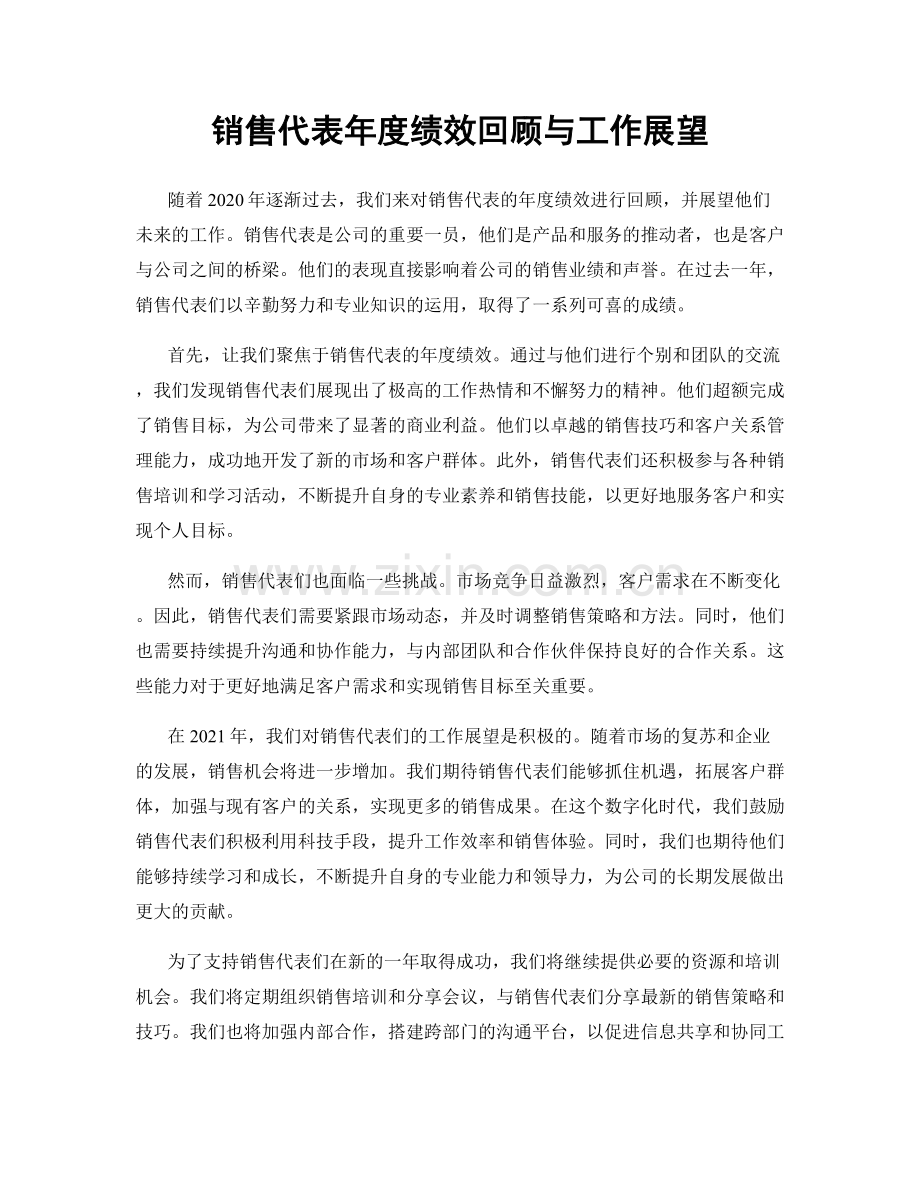 销售代表年度绩效回顾与工作展望.docx_第1页