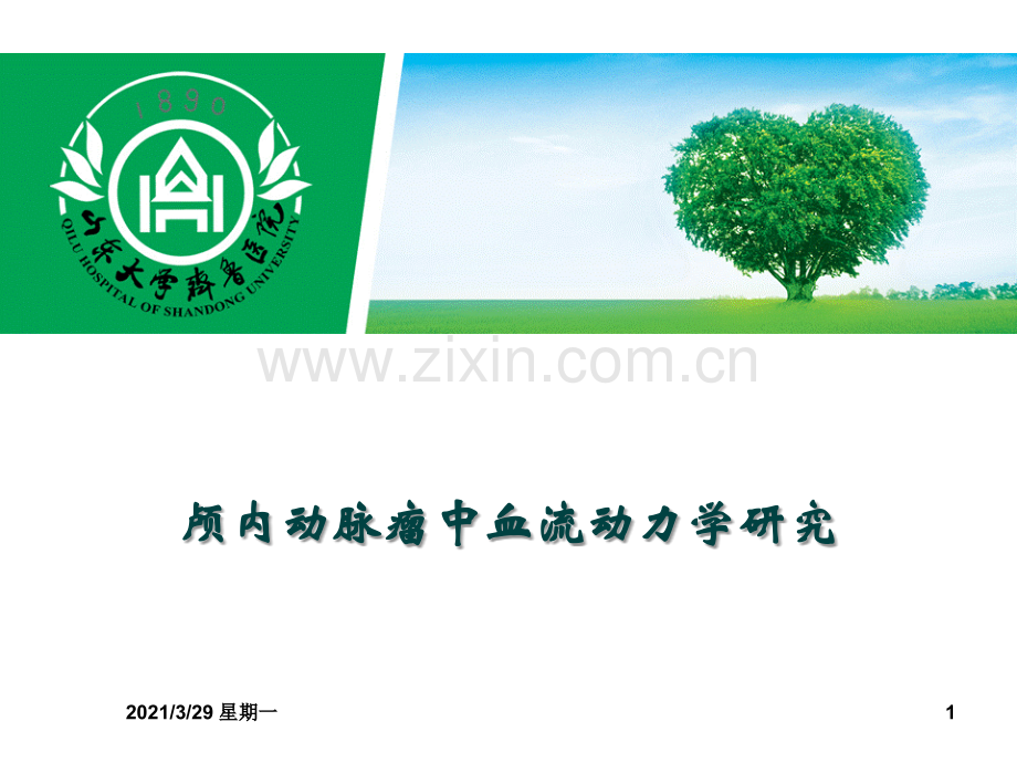 血流动力学应用.ppt_第1页