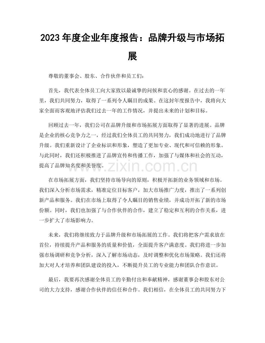 2023年度企业年度报告：品牌升级与市场拓展.docx_第1页