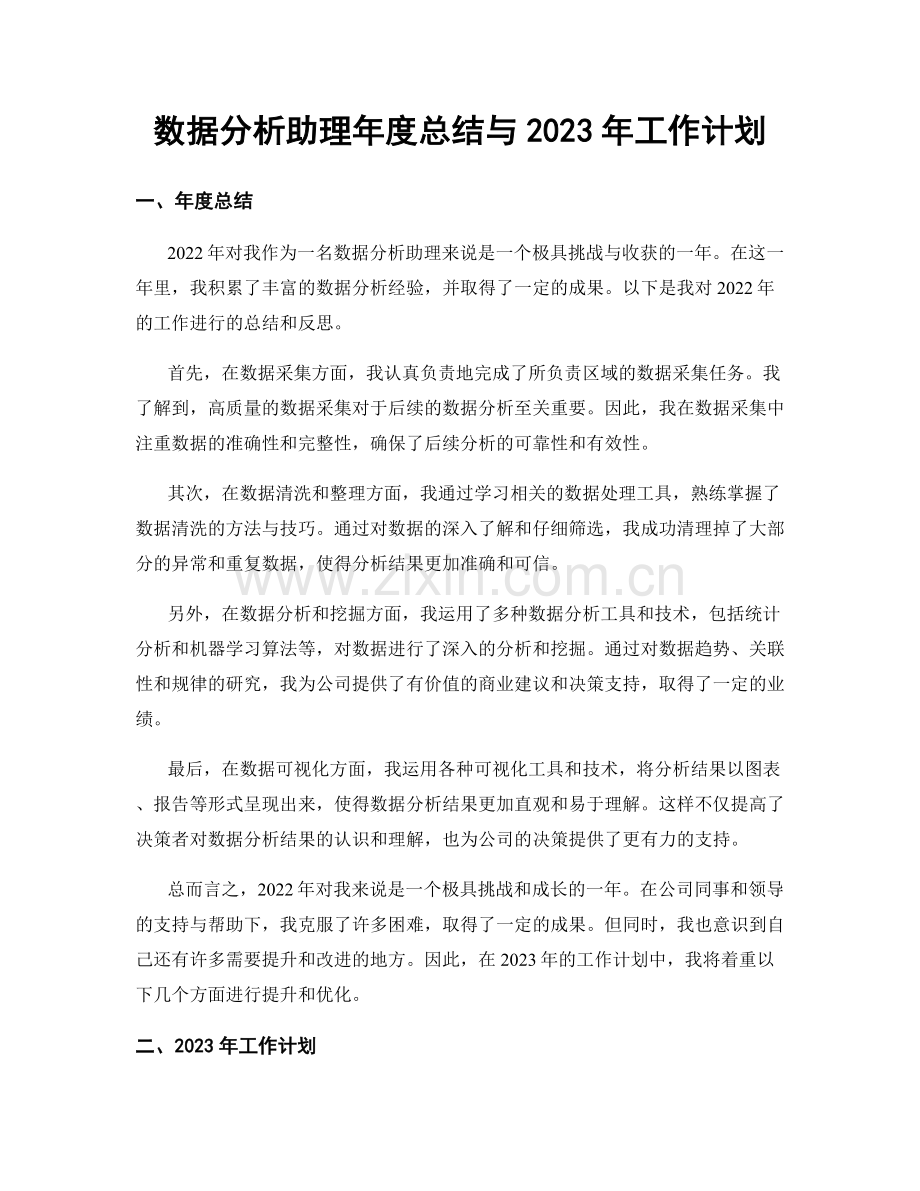 数据分析助理年度总结与2023年工作计划.docx_第1页