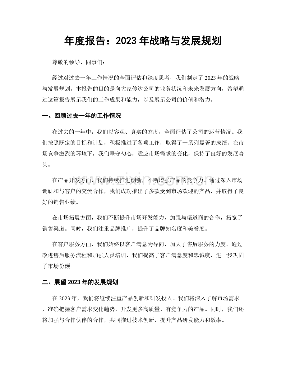年度报告：2023年战略与发展规划.docx_第1页