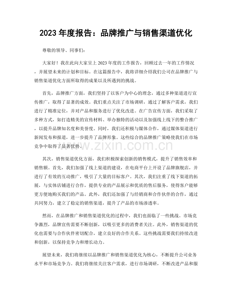 2023年度报告：品牌推广与销售渠道优化.docx_第1页