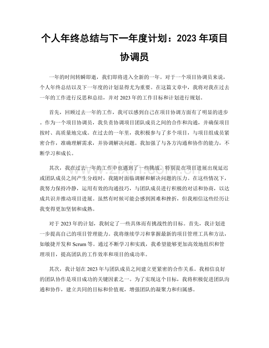 个人年终总结与下一年度计划：2023年项目协调员.docx_第1页