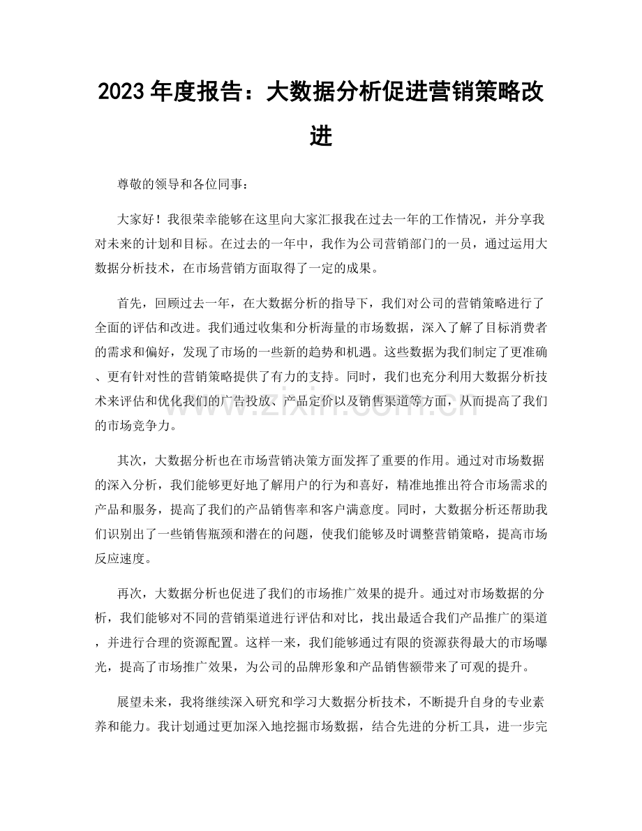 2023年度报告：大数据分析促进营销策略改进.docx_第1页