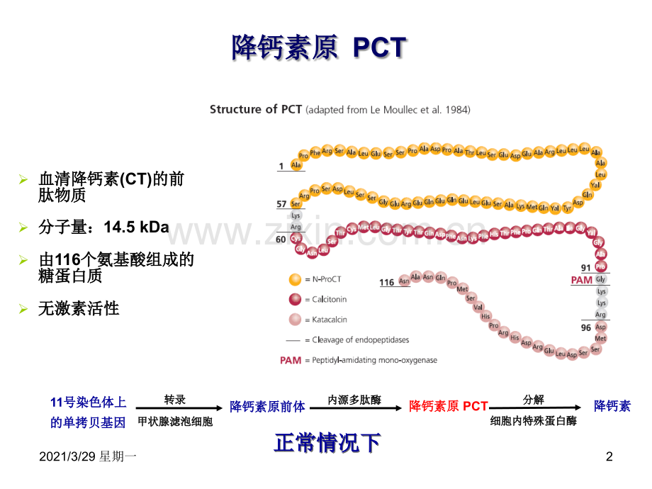 炎性指标和临床意义.ppt_第2页