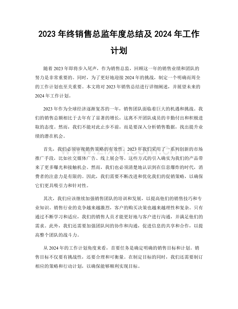 2023年终销售总监年度总结及2024年工作计划.docx_第1页