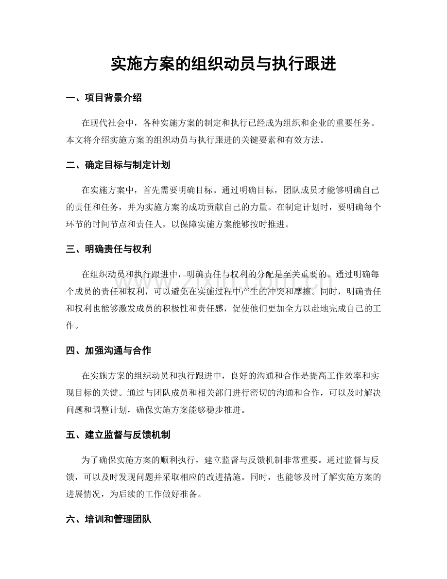 实施方案的组织动员与执行跟进.docx_第1页