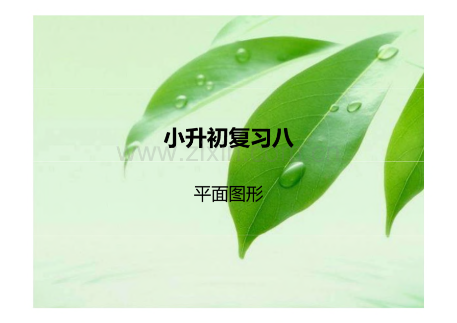 小升初数学复习八(平面图形).pdf_第1页