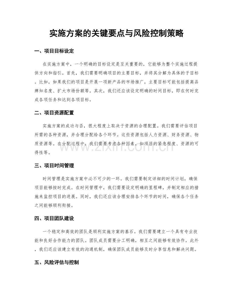 实施方案的关键要点与风险控制策略.docx_第1页