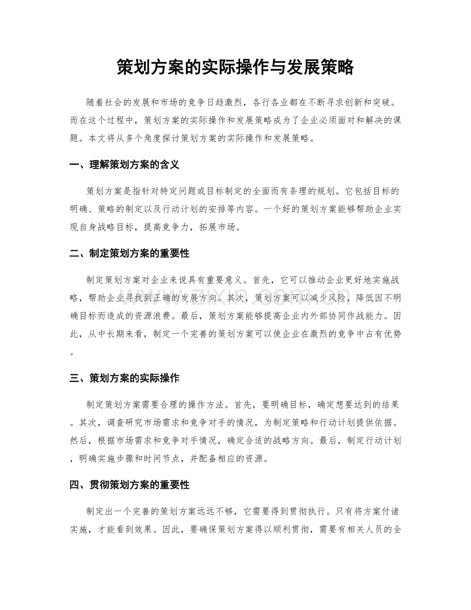 策划方案的实际操作与发展策略.docx_第1页