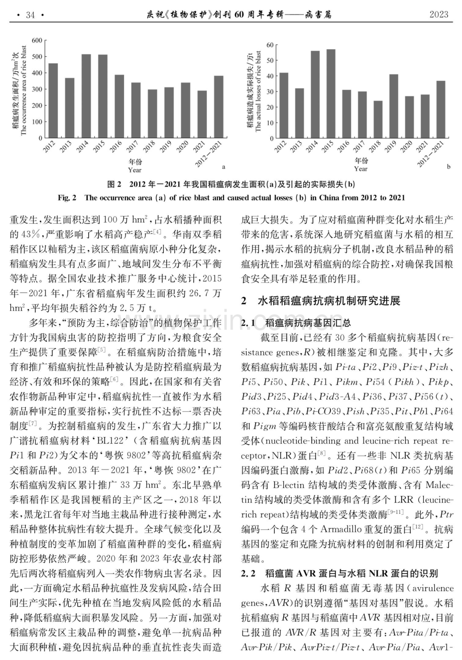 稻瘟病抗性分子机制及抗病育种策略研究进展.pdf_第3页
