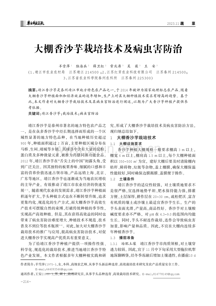 大棚香沙芋栽培技术及病虫害防治.pdf_第1页