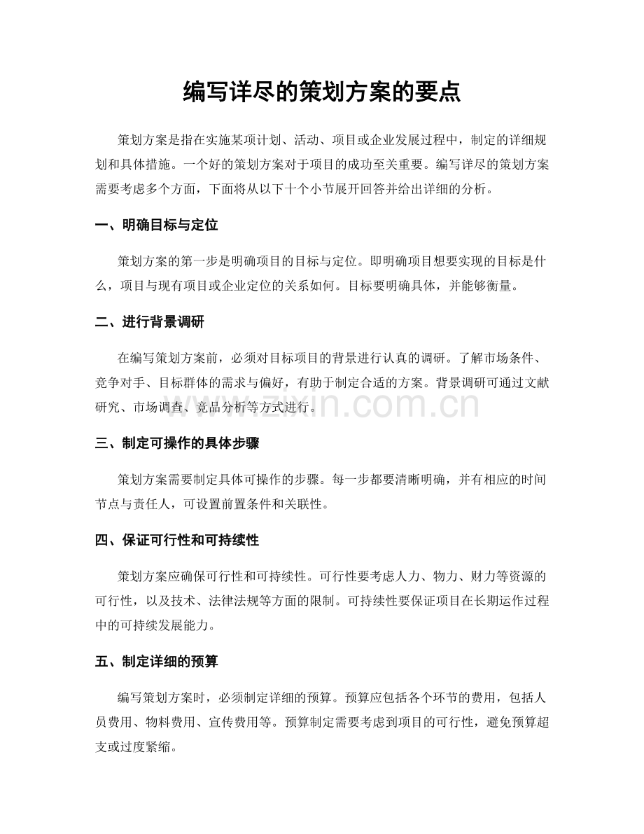 编写详尽的策划方案的要点.docx_第1页