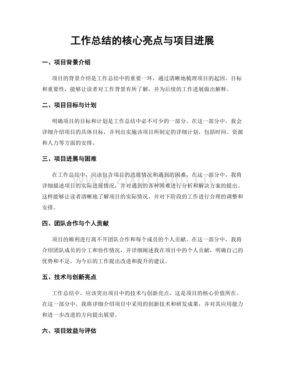 工作总结的核心亮点与项目进展.docx_第1页