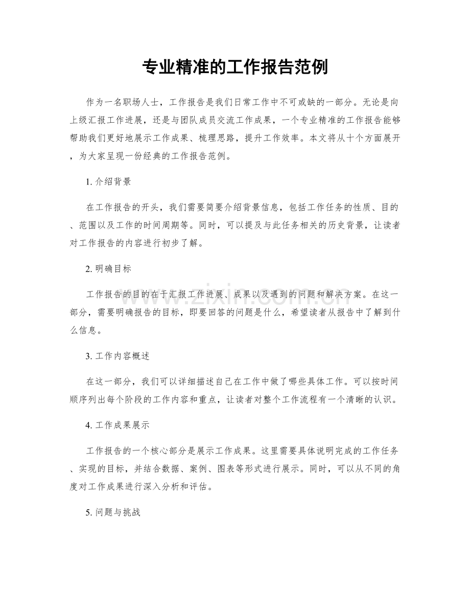 专业精准的工作报告范例.docx_第1页