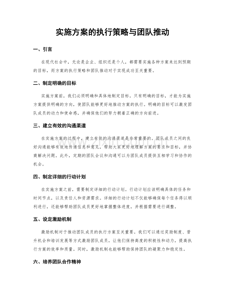 实施方案的执行策略与团队推动.docx_第1页