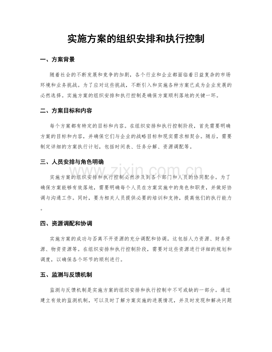 实施方案的组织安排和执行控制.docx_第1页